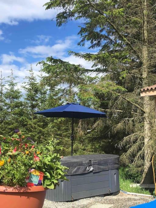 Bankhead Accommodation With Hot Tub Aberdeenshire Gamrie Eksteriør bilde